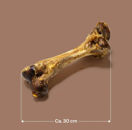 Ostrich Bone