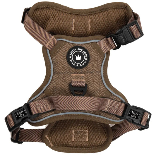 Trail & Glow Tweed Dog Harness - Oxford Tweed