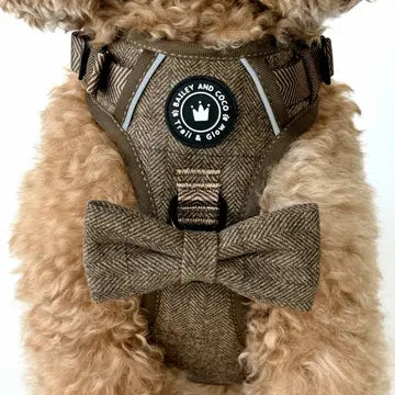 Trail & Glow Tweed Dog Harness - Oxford Tweed