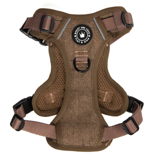Trail & Glow Tweed Dog Harness - Oxford Tweed