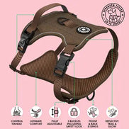 Trail & Glow Tweed Dog Harness - Oxford Tweed