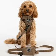 Trail & Glow Tweed Dog Harness - Oxford Tweed