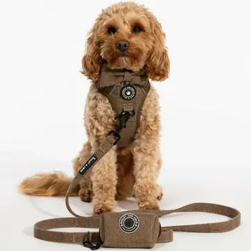 Trail & Glow Tweed Dog Harness - Oxford Tweed