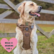 Trail & Glow Tweed Dog Harness - Oxford Tweed