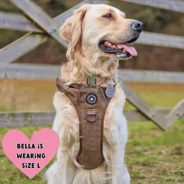 Trail & Glow Tweed Dog Harness - Oxford Tweed