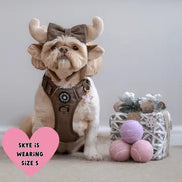 Trail & Glow Tweed Dog Harness - Oxford Tweed