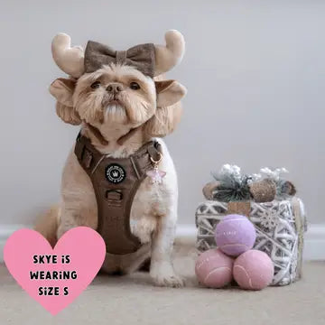Trail & Glow Tweed Dog Harness - Oxford Tweed