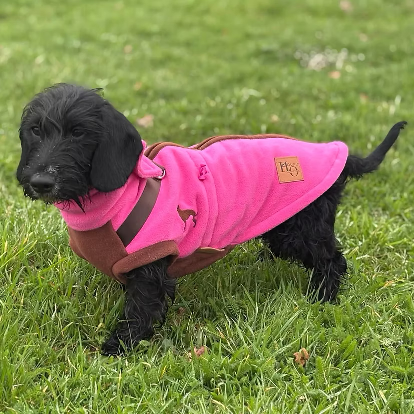 PupDri Zip Back Dog Fleece Harness Jumper | Hound Outfitters