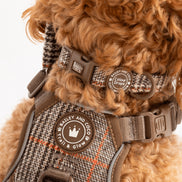 Bailey And Coco Adjustable Collar - Colour Drops - Heritage Plaid