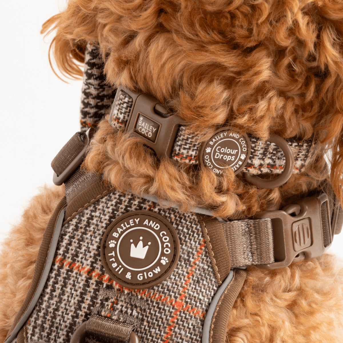 Bailey And Coco Adjustable Collar - Colour Drops - Heritage Plaid