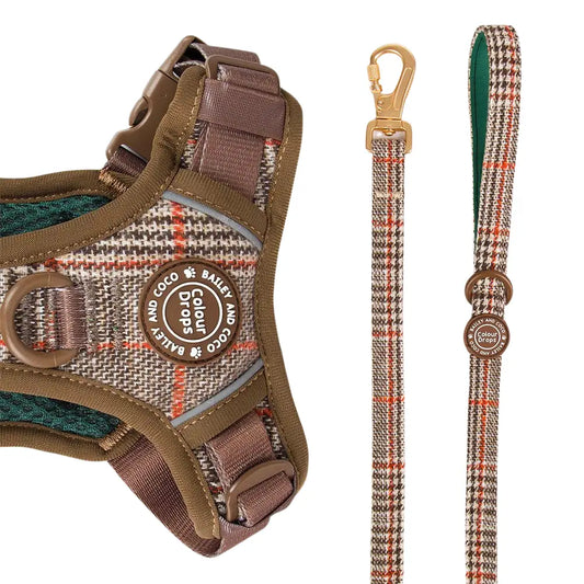 Bailey and Coco Dog Lead 5ft - Colour Drops - Heritage Plaid