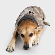 Sand Camo Dog Coat