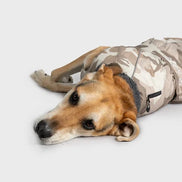 Sand Camo Dog Coat