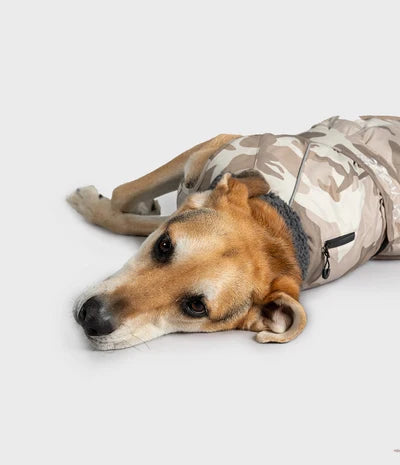 Sand Camo Dog Coat