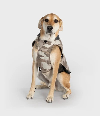 Sand Camo DRYROBE Dog