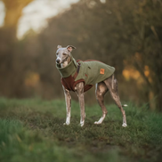 PupDri Zip Back Dog Fleece Harness Jumper | Hound Outfitters