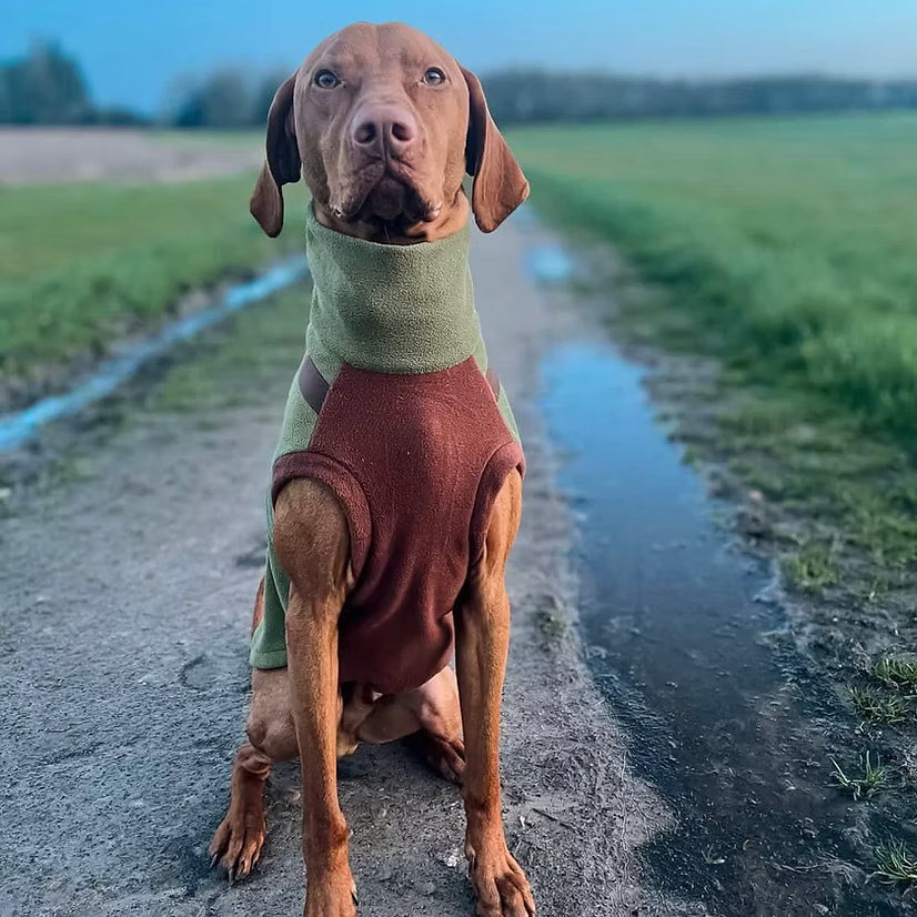 PupDri Zip Back Dog Fleece Harness Jumper | Hound Outfitters