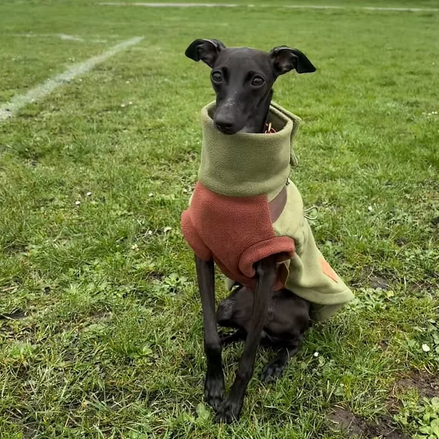 PupDri Zip Back Dog Fleece Harness Jumper | Hound Outfitters