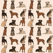 The Border Terrier Dog Walking Bag