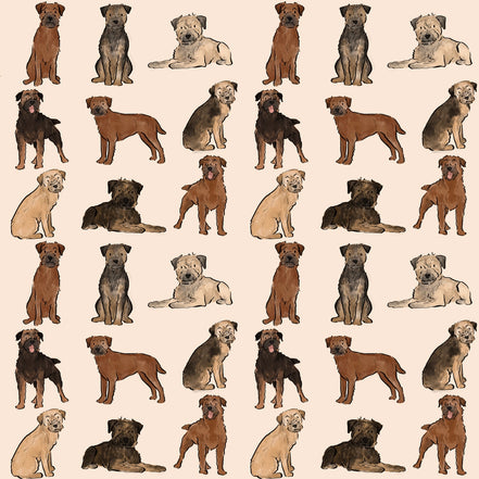 The Border Terrier Dog Walking Bag