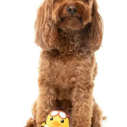 Amelia Quackhart - Dog Toy: Large