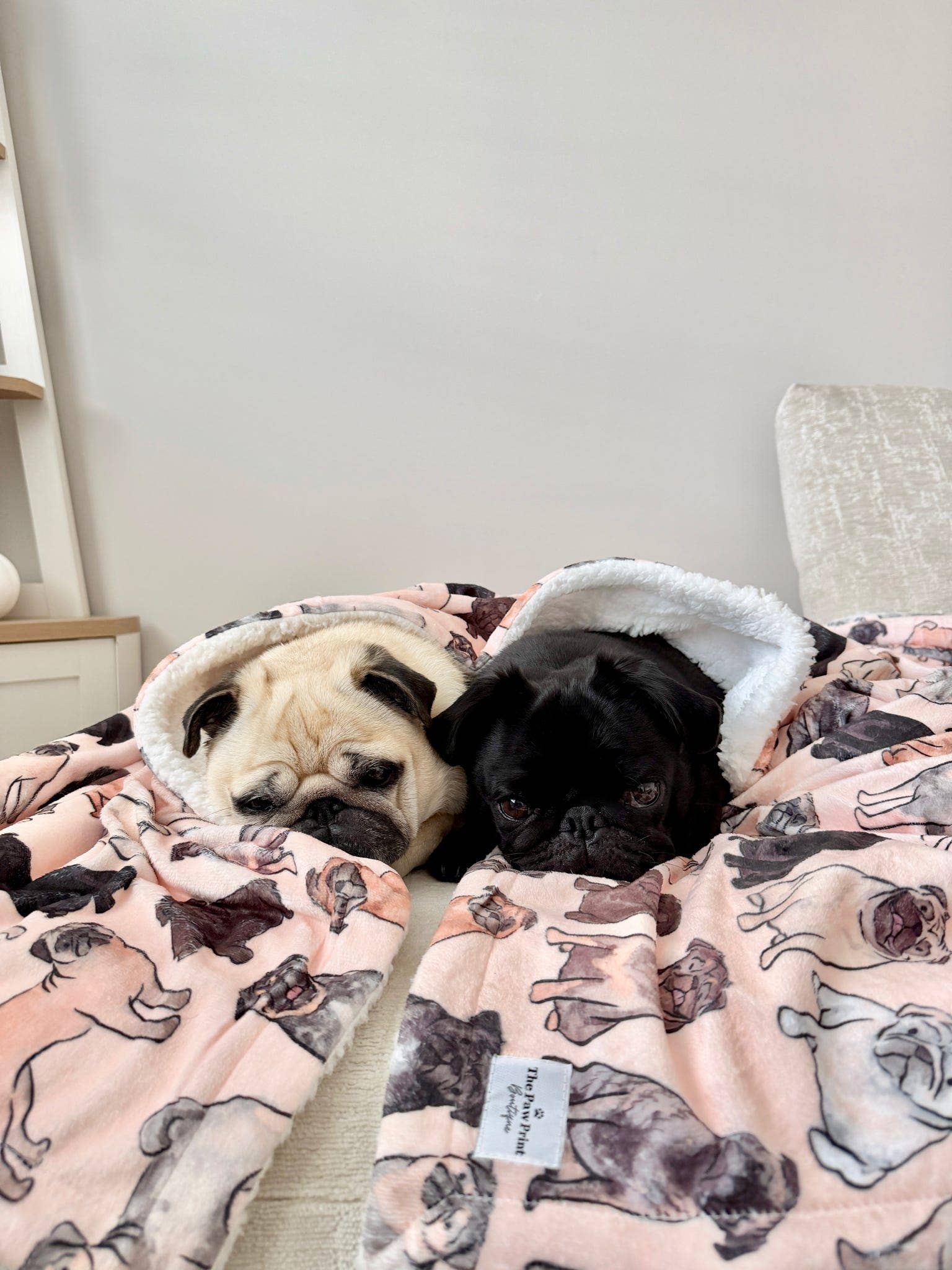 The Pug Dog Blanket