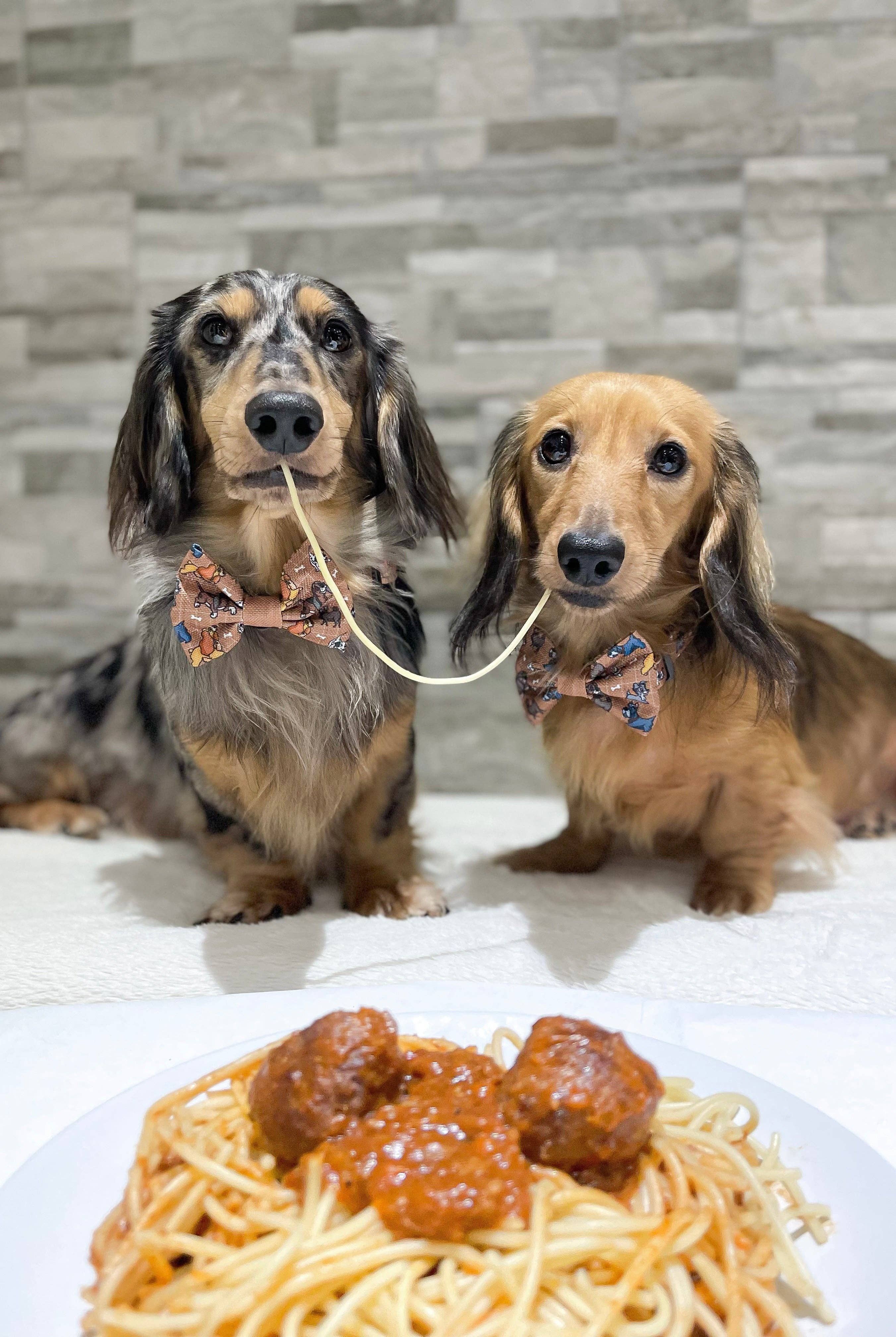 Disney© Bow Tie - Disney Dogs: Regular