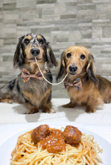 Disney© Bow Tie - Disney Dogs: Regular