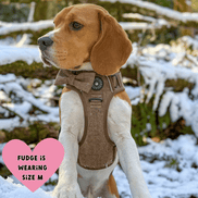 Trail & Glow Tweed Dog Harness - Oxford Tweed: XS