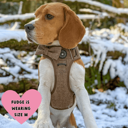 Trail & Glow Tweed Dog Harness - Oxford Tweed: XS