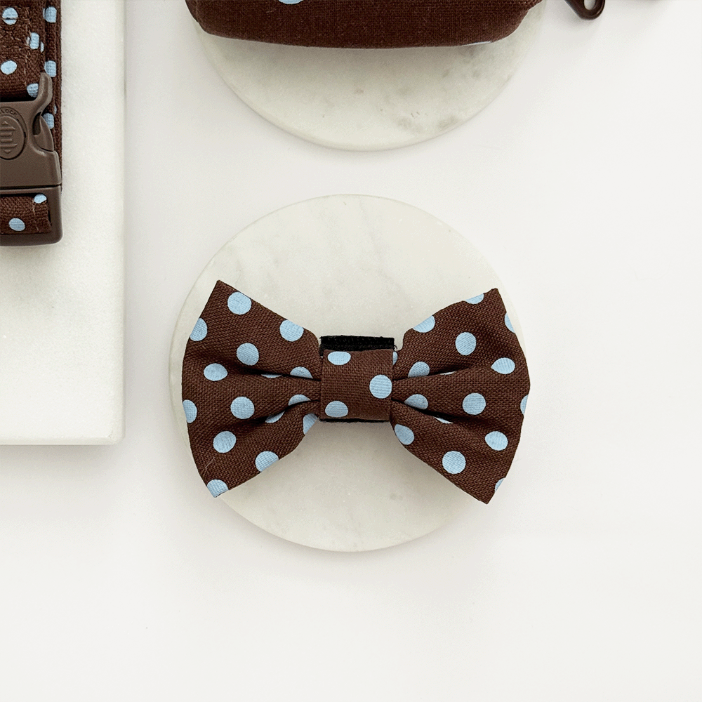 Biscotti Blue Bow Tie