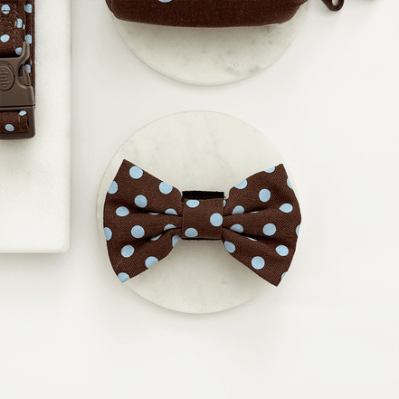 Biscotti Blue Bow Tie