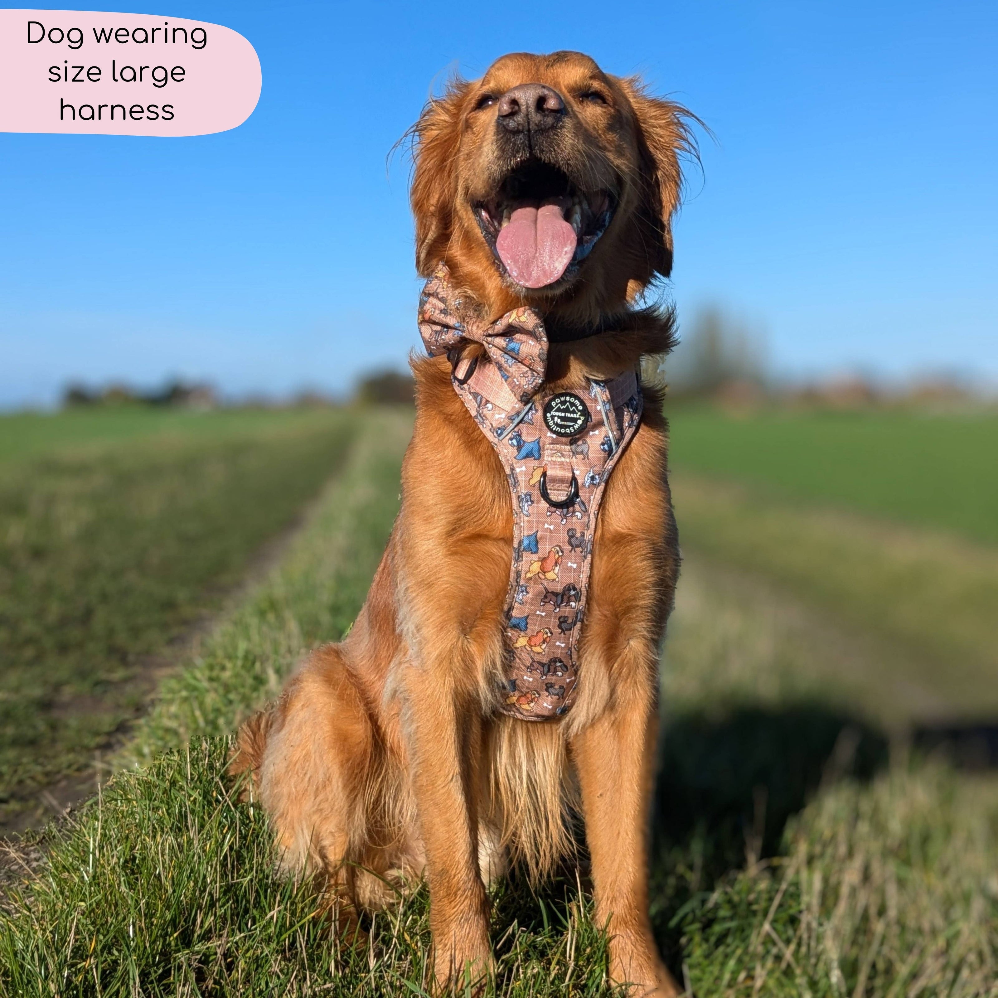 Disney© Tough Trails™ Harness - Disney Dogs: M
