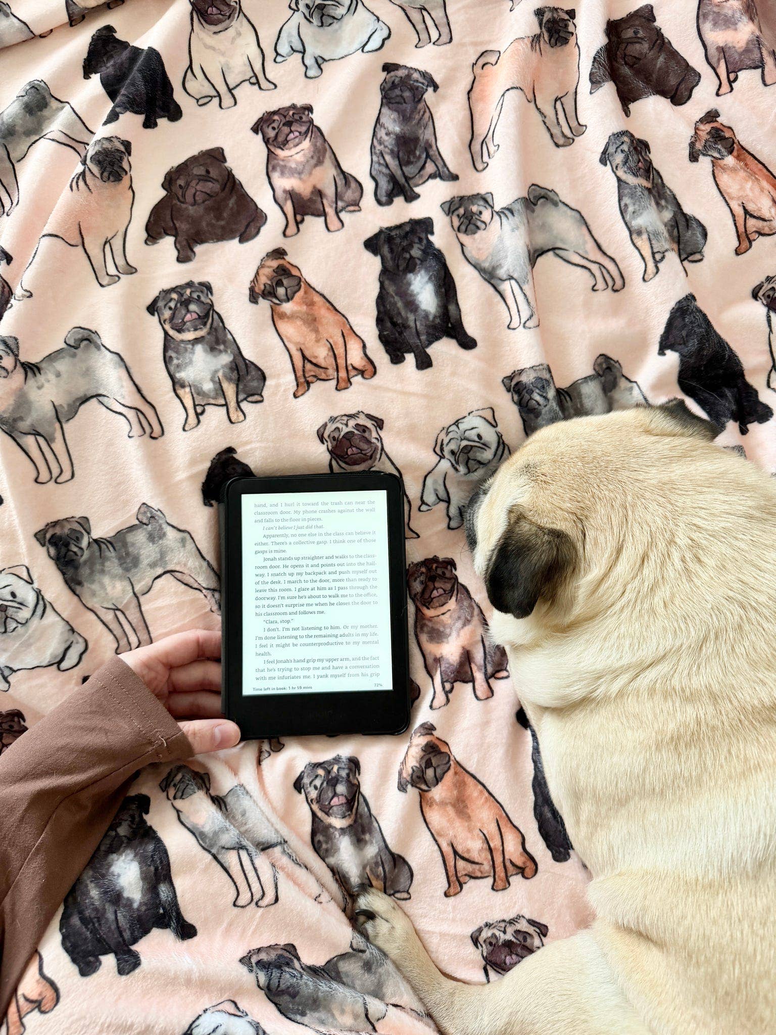 The Pug Dog Blanket