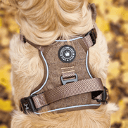 Trail & Glow Tweed Dog Harness - Oxford Tweed: M
