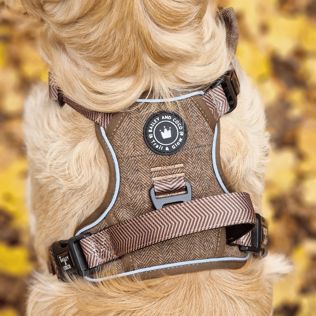 Trail & Glow Tweed Dog Harness - Oxford Tweed: XS