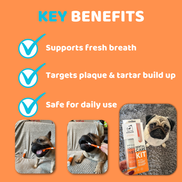 Dog Toothpaste and Toothbrush Set