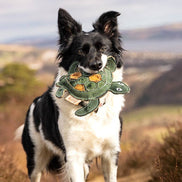 Eco Dog Toys By Miro & Makauri - Tara Turtle.: Tara