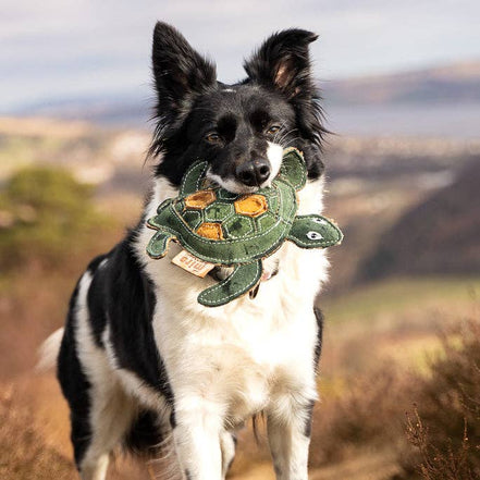Eco Dog Toys By Miro & Makauri - Tara Turtle.: Tara