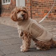 The Capsule Cosy Coat: XS