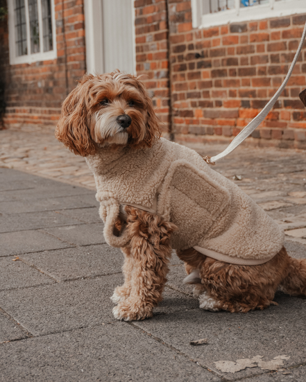The Capsule Cosy Coat: XS