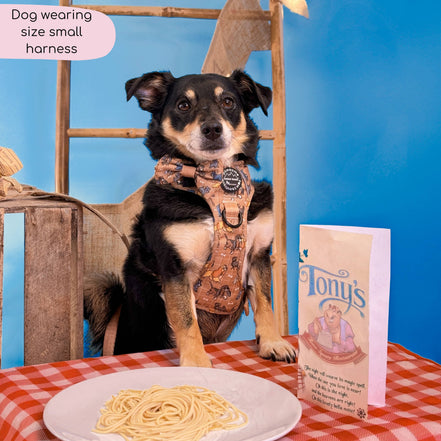 Disney© Tough Trails™ Harness - Disney Dogs: M
