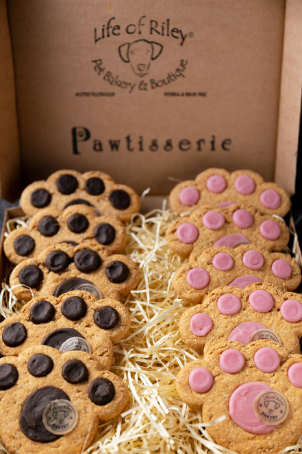 Doggy Paw Print Cookies - Box of 10: Loose Box of 10
