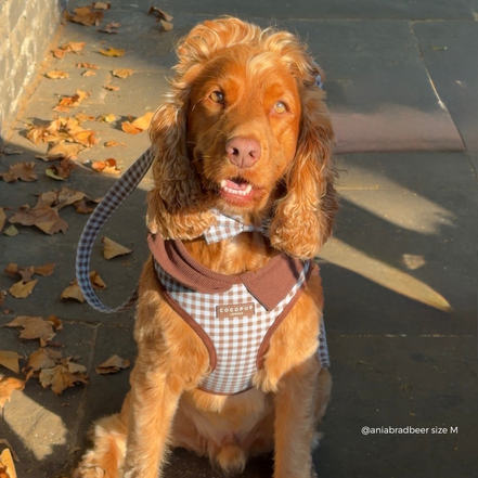 Chelsea Check Adjustable Neck HARNESS: S