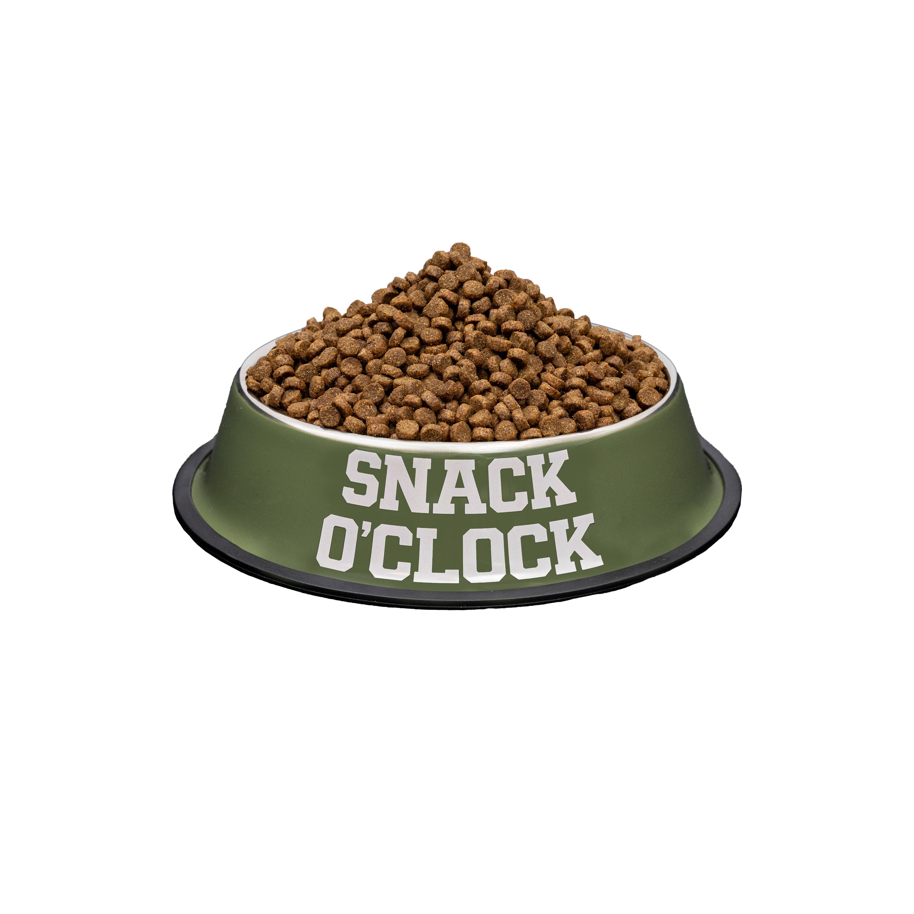 Feeder and Waterer 