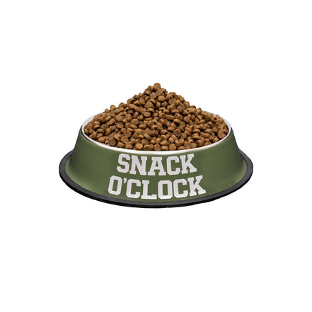 Feeder and Waterer "Snack O'Clock, Drink O'Clock"