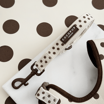 Tiramisu Polka Dot Lead