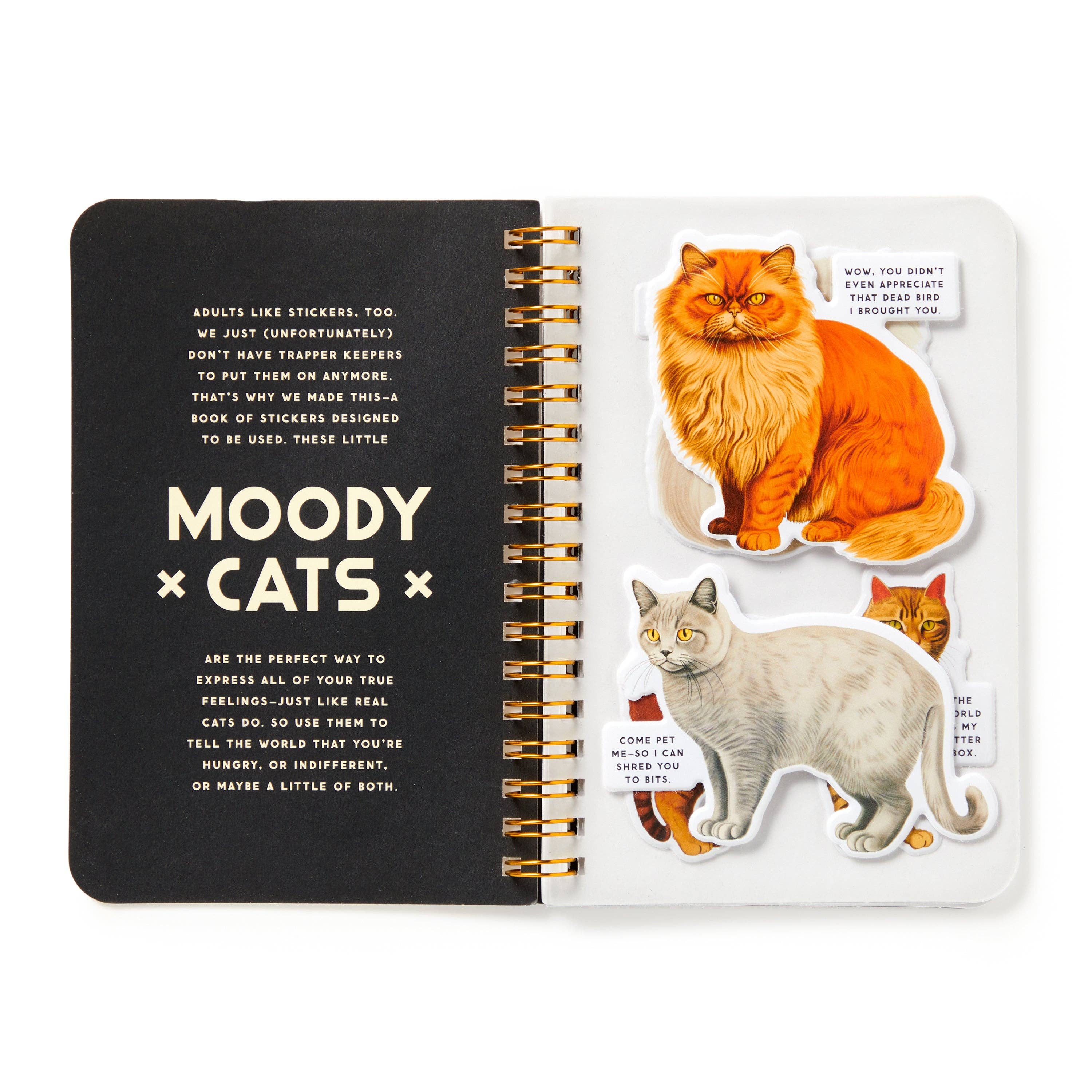 Moody Cats Sticker Book (Sticker Book or Pack)