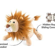 Big Five of Africa - Lion