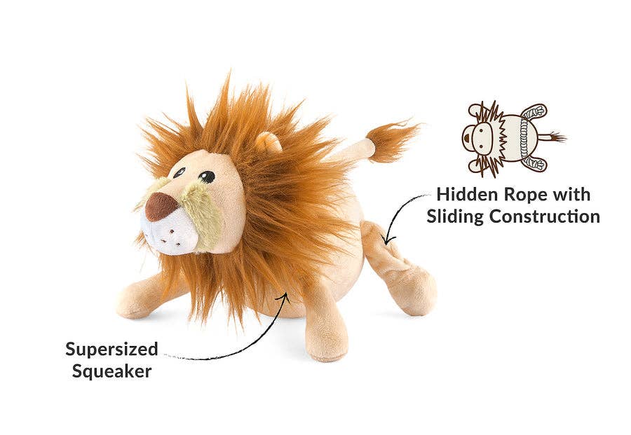 Big Five of Africa - Lion